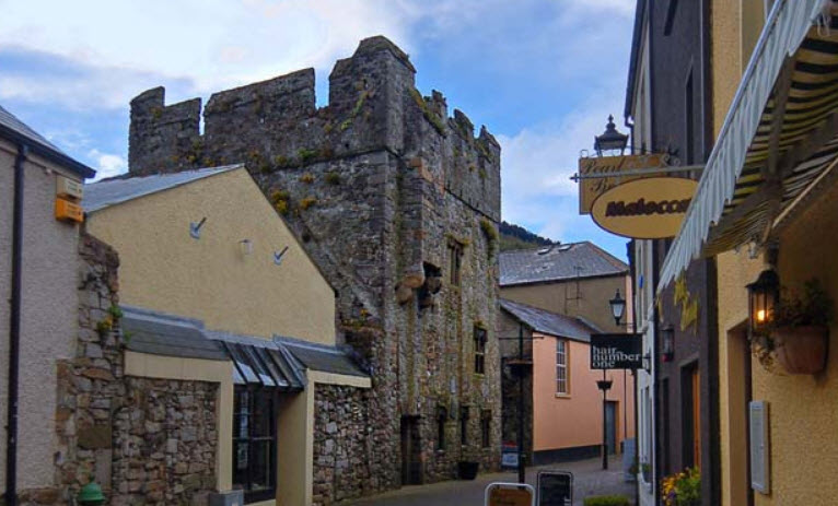 The Mint, Ireland